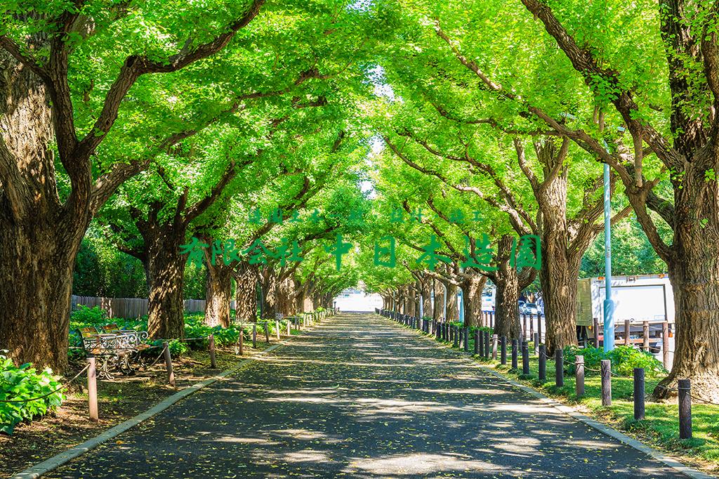 AdobeStock_193697548 (2)