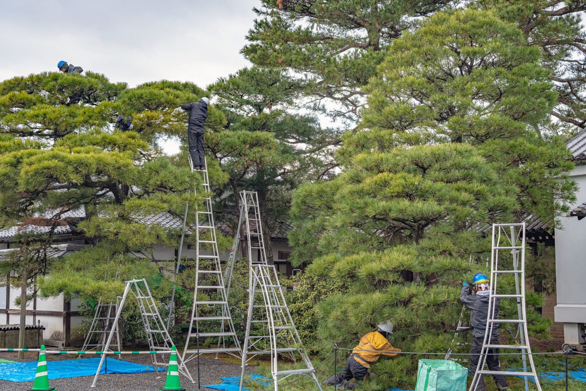足場の前でポーズを決めるスタッフ