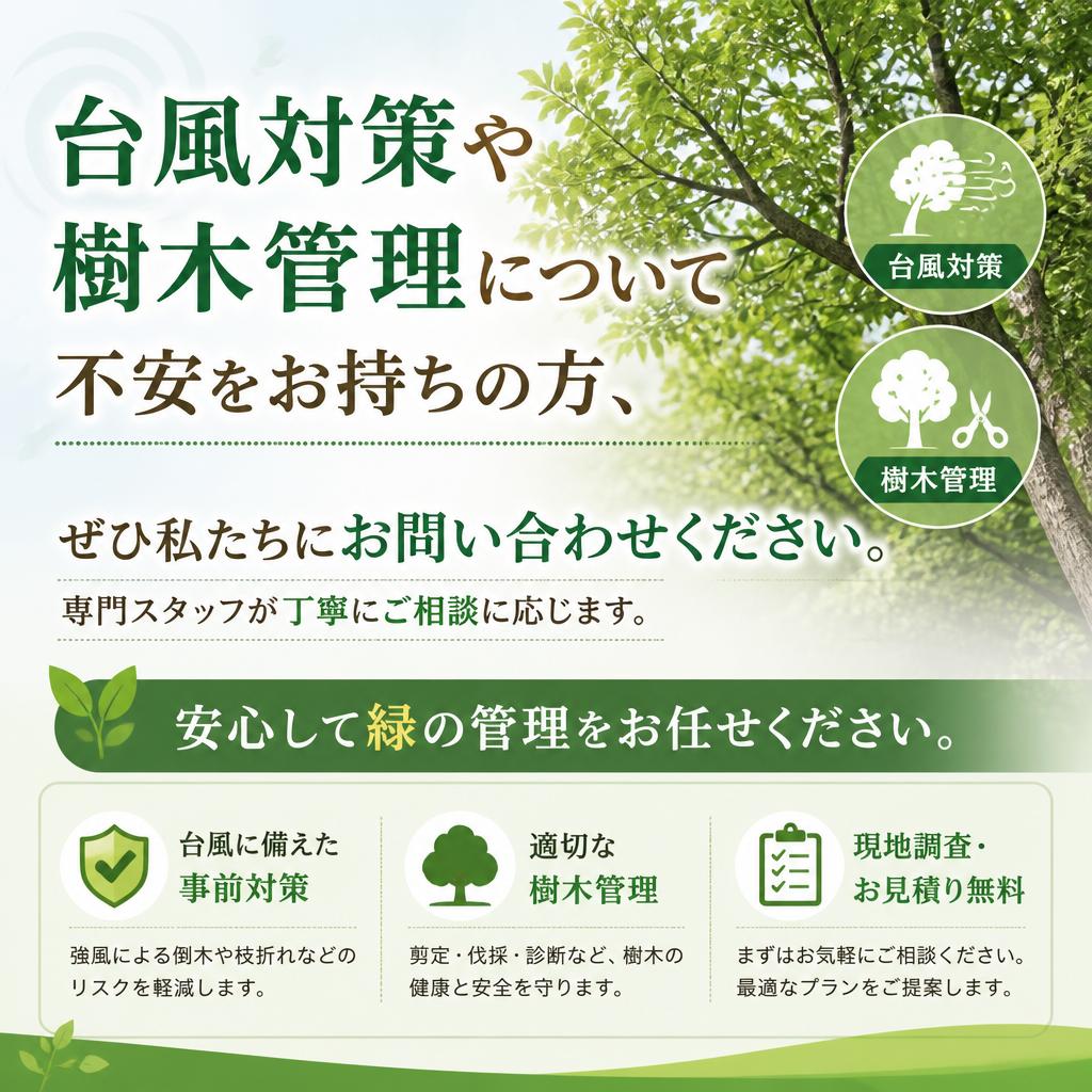 今すぐ相談を！