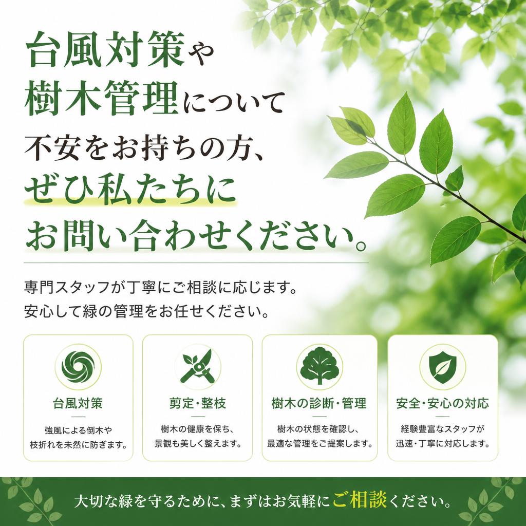 今すぐ相談を！